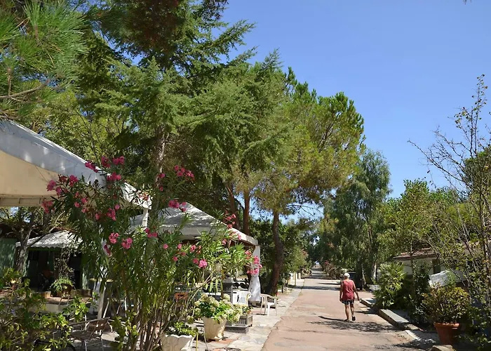 营地 Villaggio Sos Flores 托尔托利