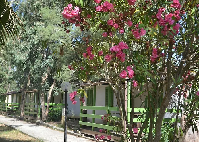 Villaggio Sos Flores