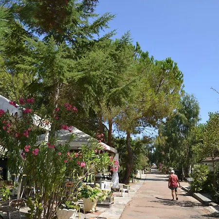 Kamp alanı Villaggio Sos Flores Tortolì