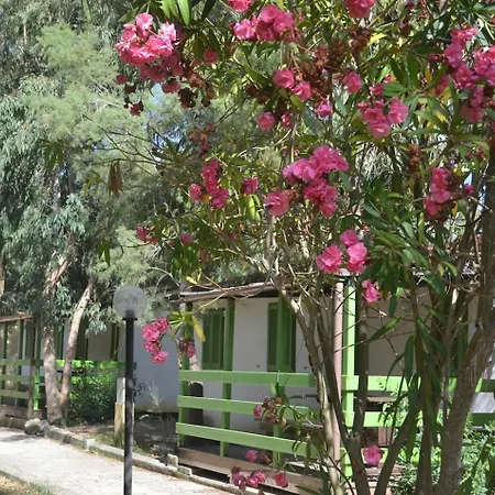 Villaggio Sos Flores