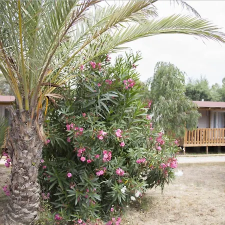 Villaggio Sos Flores مكان تخييم